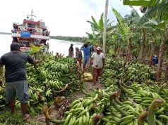 MUNICIPALIDAD DE DATEM CONTINÚA APOSTANDO POR LOS HOMBRES Y MUJERES DEL CAMPO