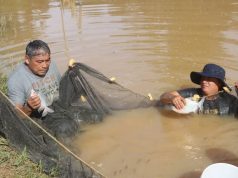 REALIZAN MUESTREO Y CONTROL BIOMÉTRICO EN EL SECTOR 5 DE ENERO