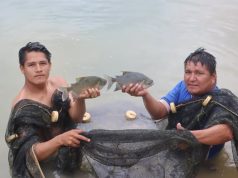 CONTINÚA EL TRABAJO DE MUESTREO Y CONTROL BIOMÉTRICO