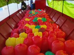 60 MILLARES DE ALEVINES EN TRASLADO PARA FORTALECER LA PRODUCCIÓN ACUÍCOLA