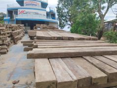 SUPERVISAN TRASLADO DE MÁS DE 179 M³ DE MADERA EN CABALLOCOCHA