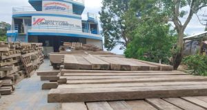 SUPERVISAN TRASLADO DE MÁS DE 179 M³ DE MADERA EN CABALLOCOCHA