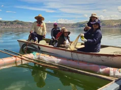 Implementan filtros verdes flotantes con plantas para limpiar una de las zonas más afectadas del lago Titicaca