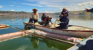 Implementan filtros verdes flotantes con plantas para limpiar una de las zonas más afectadas del lago Titicaca