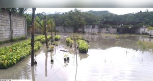 Vraem: Intensas lluvias inundan viviendas y cultivos en Unión Progreso