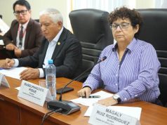 La Comisión de Cultura y Patrimonio Cultural, que preside la congresista Susel Paredes Piqué (bancada del Bloque Democrático Popular), aprobó con 15 votos a favor, cero en contra y dos abstenciones, el dictamen que propone otorgar una pensión de gracia para el escritor, poeta e investigador Róger Rumrrill García.