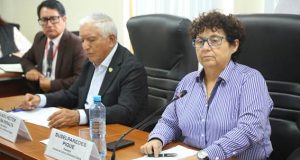 La Comisión de Cultura y Patrimonio Cultural, que preside la congresista Susel Paredes Piqué (bancada del Bloque Democrático Popular), aprobó con 15 votos a favor, cero en contra y dos abstenciones, el dictamen que propone otorgar una pensión de gracia para el escritor, poeta e investigador Róger Rumrrill García.