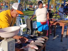 ACTIVIDADES PRODUCTIVAS FORTALECEN LA ECONOMÍA LOCAL EN DATEM DEL MARAÑÓN