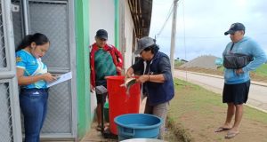 COMERCIALIZAN GAMITANA PRODUCIDA MEDIANTE PROYECTO ACUÍCOLA