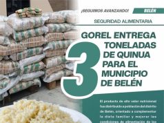 3 TONELADAS DE QUINUA PARA REDUCIR LA ANEMIA