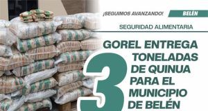 3 TONELADAS DE QUINUA PARA REDUCIR LA ANEMIA