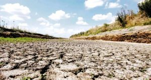 Ayacucho actualiza estrategia climática ante aumento de sequías, heladas y radiación solar