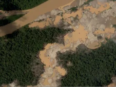 Pese a operativos del Estado, la minería ilegal se extiende por Tambopata: 500 hectáreas deforestadas, 67 campamentos y 183 infraestructuras detectadas