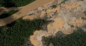 Pese a operativos del Estado, la minería ilegal se extiende por Tambopata: 500 hectáreas deforestadas, 67 campamentos y 183 infraestructuras detectadas