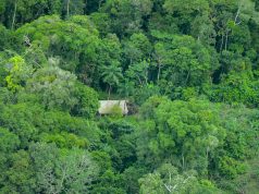 ORPIO RECHAZA “CAMPAÑA DE DESINFORMACIÓN” SOBRE PIACI EN NAPO TIGRE