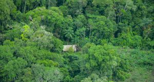 ORPIO RECHAZA “CAMPAÑA DE DESINFORMACIÓN” SOBRE PIACI EN NAPO TIGRE