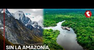 «Sin la Amazonía, el Perú no existiría»: la contundente reflexión de Róger Rumrrill (VIDEO)