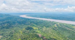 ÁREA DE CONSERVACIÓN REGIONAL AGUAS CALIENTES MAQUIA YA ES UNA REALIDAD
