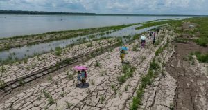 Calentamiento global pone en riesgo la seguridad alimentaria del Perú