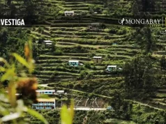 Los Andenes de Cuyocuyo: tecnología ancestral para conservar la biodiversidad en el altiplano peruano