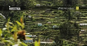 Los Andenes de Cuyocuyo: tecnología ancestral para conservar la biodiversidad en el altiplano peruano