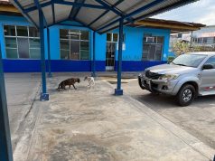 HOSPITAL III ESSALUD DE IQUITOS ES UN DESASTRE
