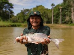 IIAP INUNDA CON MOTA PUNTEADA MADRE DE DIOS