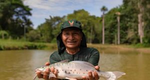 IIAP INUNDA CON MOTA PUNTEADA MADRE DE DIOS