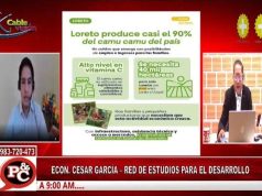 LORETO CONCENTRA EL 88% DEL CAMU CAMU