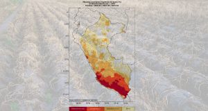 SENAMHI alerta riesgo de sequía severa en Puno por El Niño hasta 2027