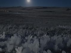 SENAMHI alerta heladas nocturnas en Puno desde este domingo