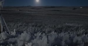 SENAMHI alerta heladas nocturnas en Puno desde este domingo