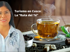 El gran impacto económico de la Ruta del Té en Huayopata hacia Machu Picchu
