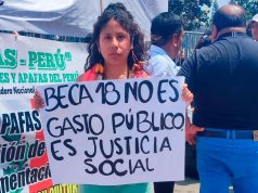 Alerta: Propuesta del Minedu pondría en riesgo la continuidad de beneficios de Pronabec