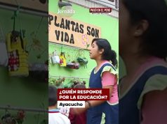 Ayacucho: maestros enseñan entre carencias y una educación que sigue en crisis (VIDEO)