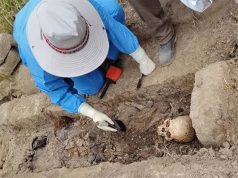 Ayacucho concentra el 75 % de desapariciones forzadas del conflicto armado, según antropólogo forense