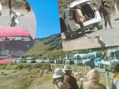 Putina: delincuentes armados asaltan cerca de 40 vehículos en la ruta hacia La Rinconada y Juliaca