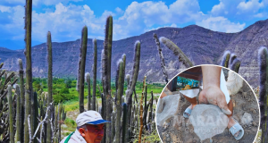 Jaén: cuestionan intervención a defensor del patrimonio y exigen esclarecer hechos en presunta afectación de huaca