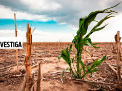 La Libertad: El Niño amenaza a los principales cultivos de la región
