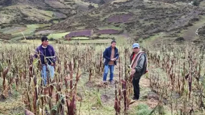 Fenómeno El Niño en Cusco: Gobiernos locales ejecutaron solo el 33% de su presupuesto anual en prevención de desastres