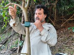 SONIDOS DE LA AMAZONÍA SERÁN CLAVES PARA PROTEGER BIODIVERSIDAD