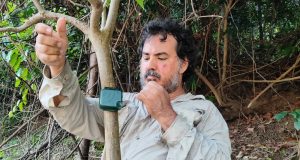 SONIDOS DE LA AMAZONÍA SERÁN CLAVES PARA PROTEGER BIODIVERSIDAD