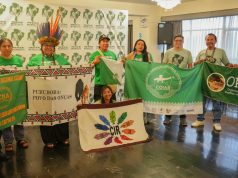 PERÚ, BRASIL Y COLOMBIA ARTICULAN DEFENSA INDÍGENA EN LA AMAZONÍA