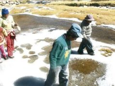 Seis niños y 102 adultos mayores murieron por neumonía en Cusco de enero a julio