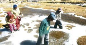 Seis niños y 102 adultos mayores murieron por neumonía en Cusco de enero a julio